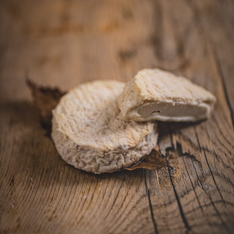 Mothais sur feuille