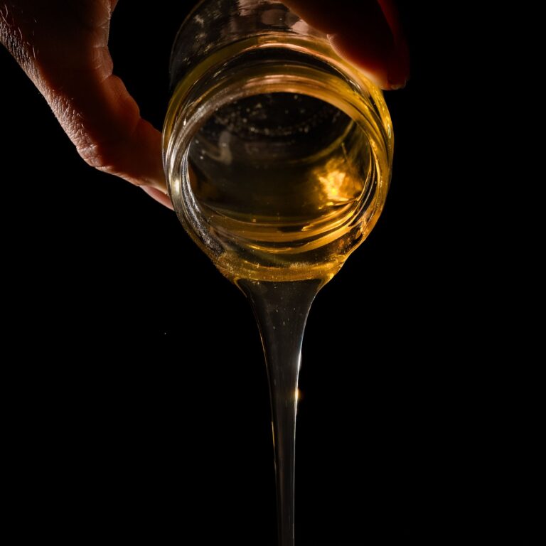 Miel de Montagne Bio