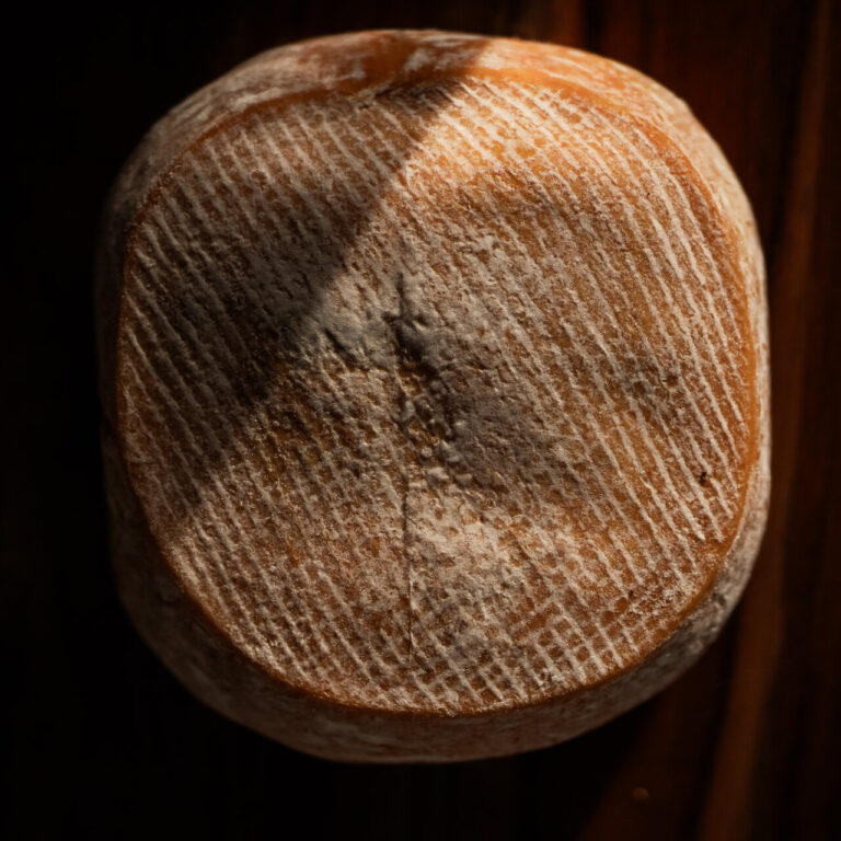Petit fiancé des Pyrénées