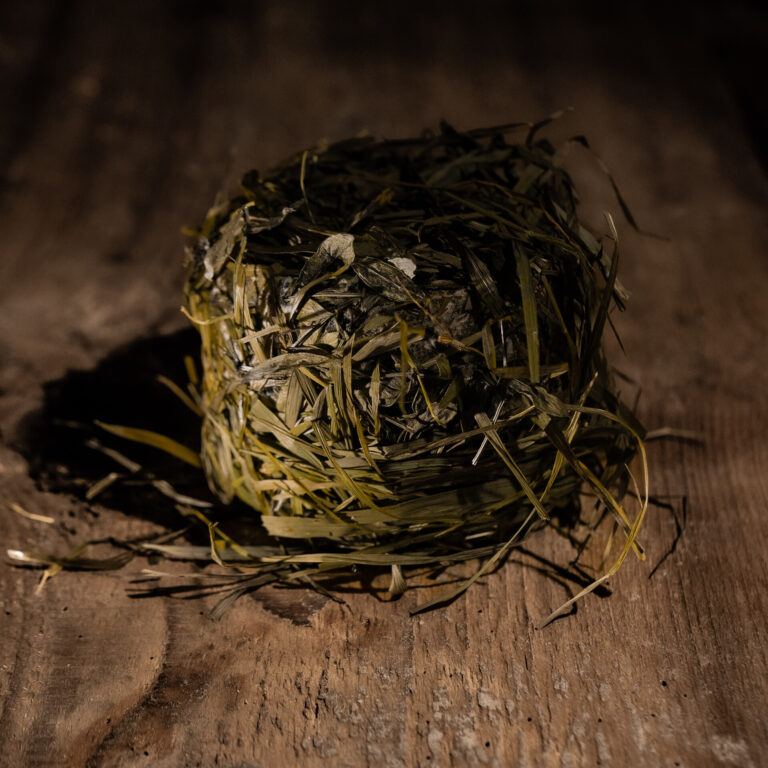 Tomme brebis Jurassienne au foin